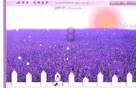 数码宝贝8